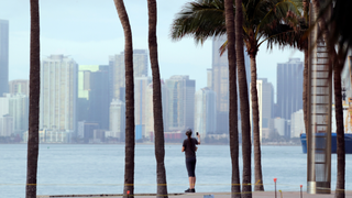 F1's Miami Grand Prix, Which Is Not Happening, Is Now Not Happening Until 2020